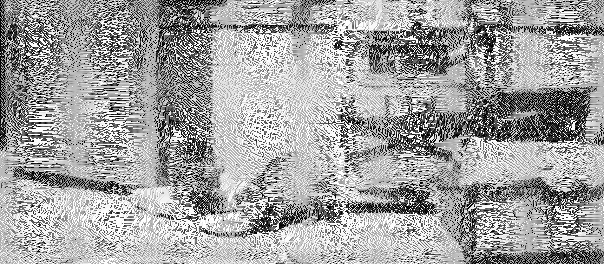 Black and white photograph. Two cats drinking from a bowl. A phonograph sits on a chair to our right, the horn flaring towards us.